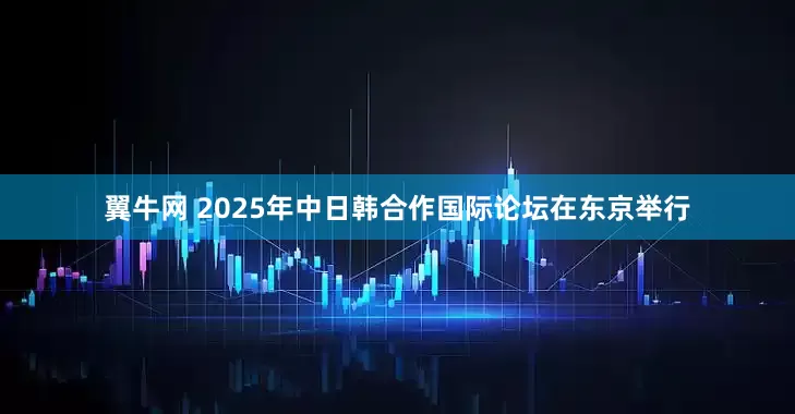 翼牛网 2025年中日韩合作国际论坛在东京举行