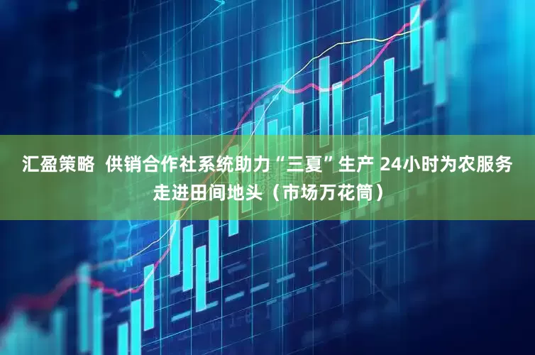 汇盈策略  供销合作社系统助力“三夏”生产 24小时为农服务走进田间地头（市场万花筒）