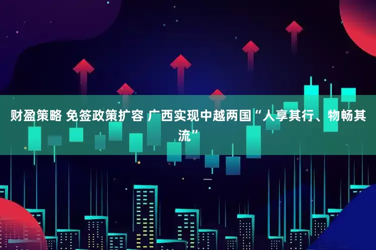 财盈策略 免签政策扩容 广西实现中越两国“人享其行、物畅其流”