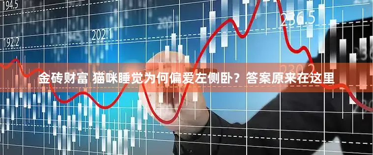 金砖财富 猫咪睡觉为何偏爱左侧卧？答案原来在这里