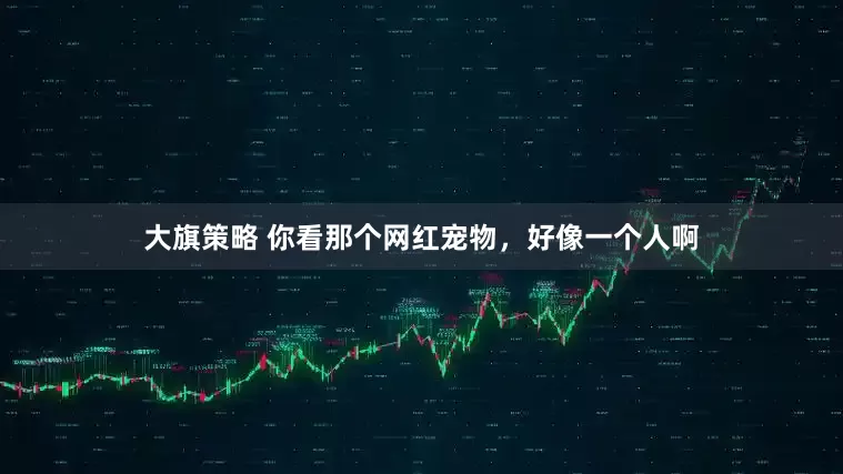 大旗策略 你看那个网红宠物，好像一个人啊