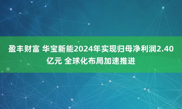 盈丰财富 华宝新能2024年实现归母净利润2.40亿元 全球化布局加速推进